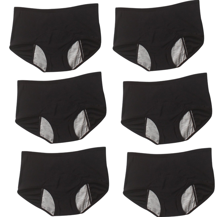 6Pcs DryGuard LeakProof Undies