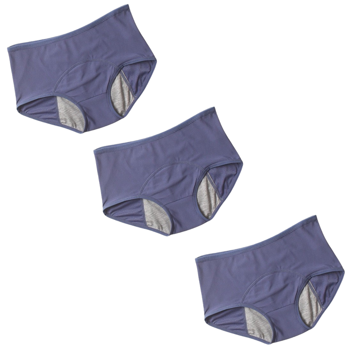 3Pcs DryGuard LeakProof Undies