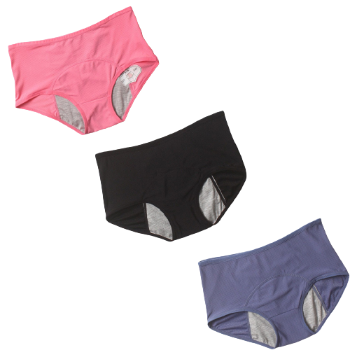 3Pcs DryGuard LeakProof Undies