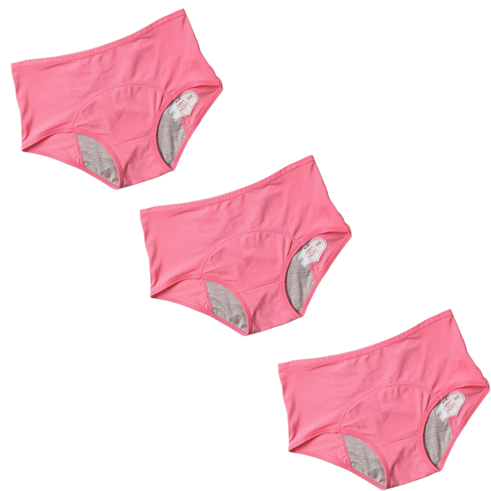 3Pcs DryGuard LeakProof Undies