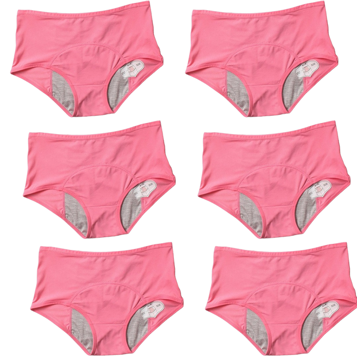 6Pcs DryGuard LeakProof Undies