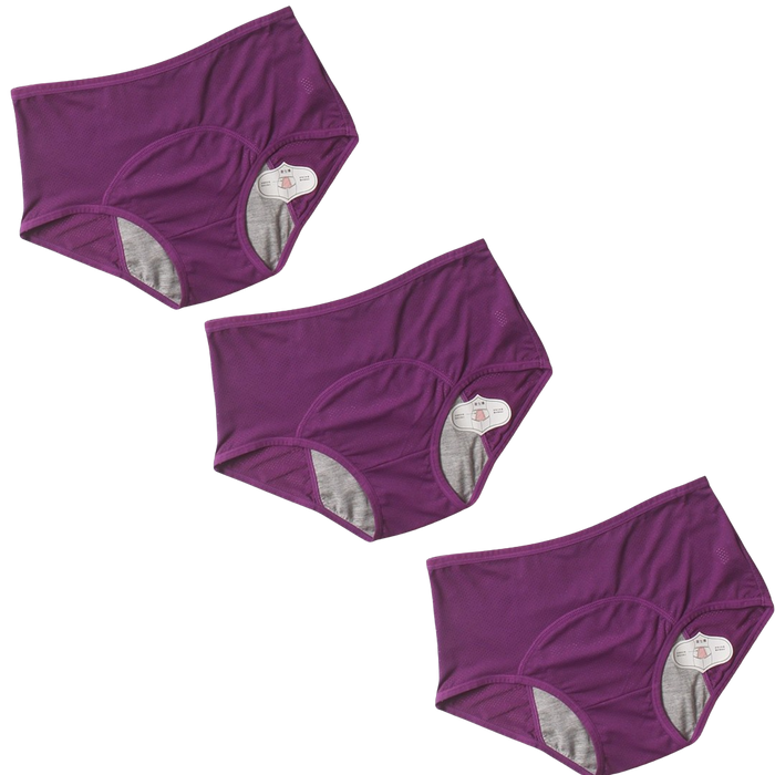 3Pcs DryGuard LeakProof Undies