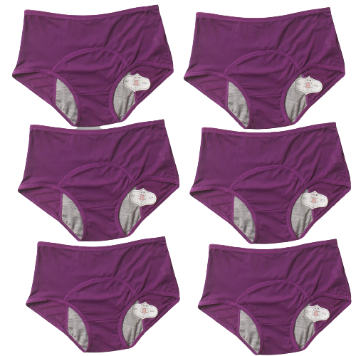 6Pcs DryGuard LeakProof Undies